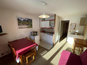 Charmant T2 cabine au pied des pistes avec balcon et commodités - FR-1-787-85 Laveissière